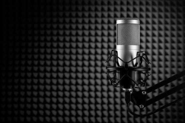 Professional condenser microphone on the black noise cancelling wall background. Recording studio.